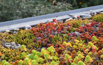 the cost of Stoke Trister green roof installation