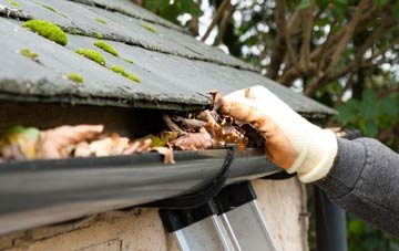 gutter cleaning Stoke Trister, Somerset