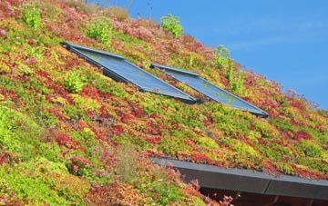 Stoke Trister living roof systems