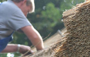 professional Stoke Trister thatchers